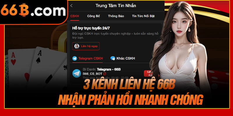 3 Kênh Liên Hệ 66B Nhận Phản Hồi Nhanh Chóng