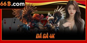 Đá Gà 4K