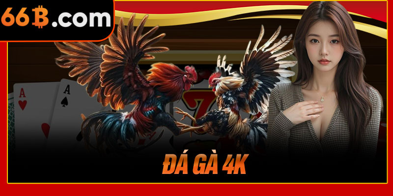 Đá Gà 4K
