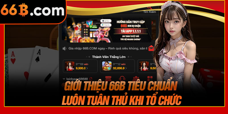 Giới Thiệu 66B Tiêu Chuẩn Luôn Tuân Thủ Khi Tổ Chức
