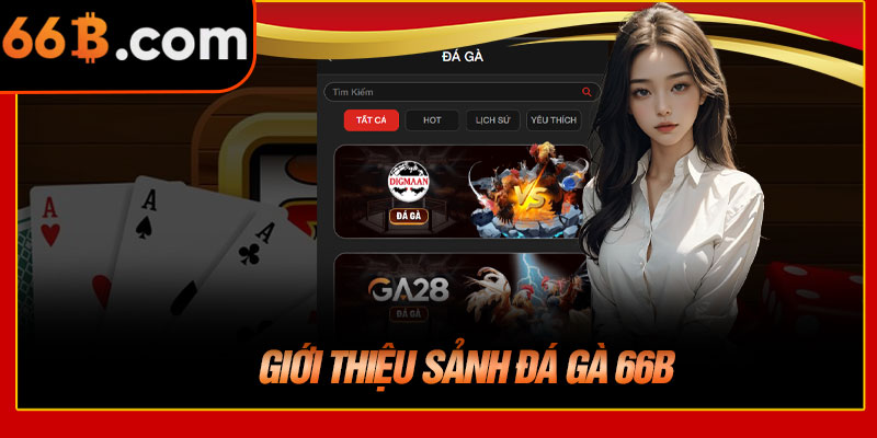 Giới Thiệu Sảnh Đá Gà 66B