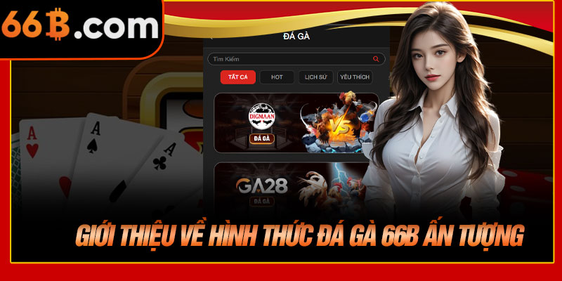 Giới Thiệu Về Hình Thức Đá Gà 66B Ấn Tượng