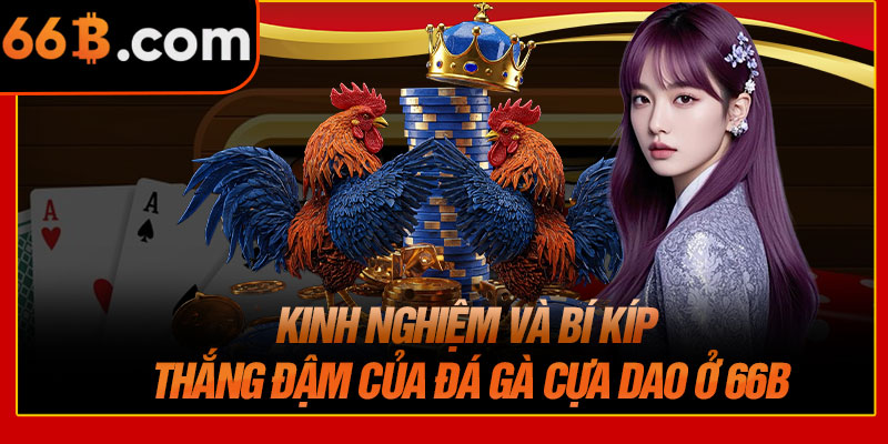Kinh Nghiệm Và Bí Kíp Thắng Đậm Của Đá Gà Cựa Dao Ở 66B