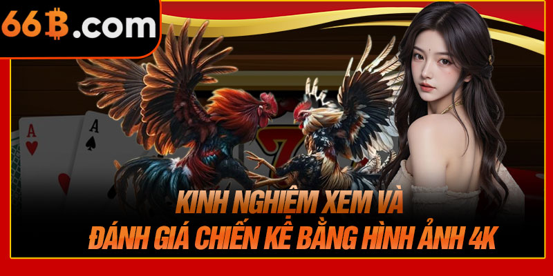 Kinh Nghiệm Xem Và Đánh Giá Chiến Kê Bằng Hình Ảnh 4K