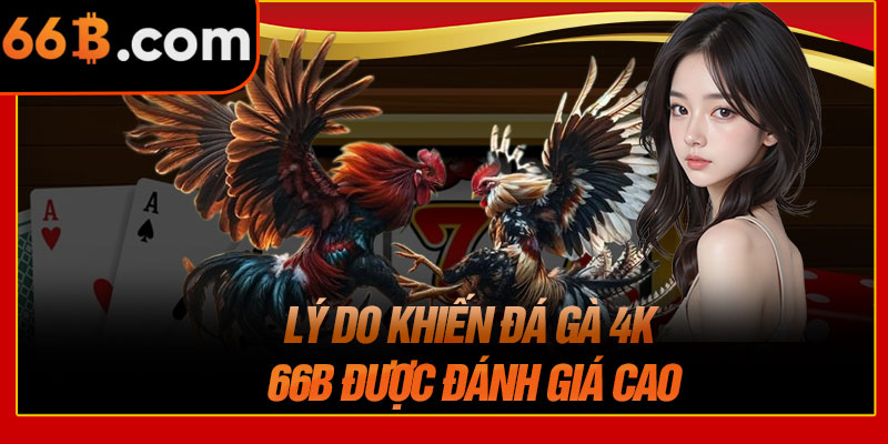Lý Do Khiến Đá Gà 4K 66B Được Đánh Giá Cao