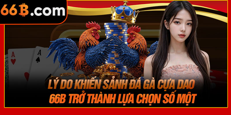 Lý Do Khiến Sảnh Đá Gà Cựa Dao 66B Trở Thành Lựa Chọn Số Một
