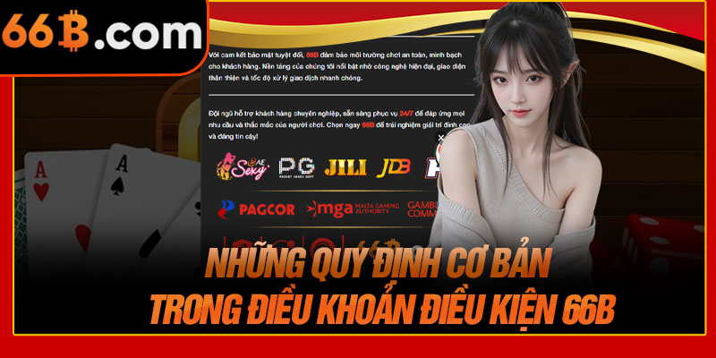 Những Quy Định Cơ Bản Trong Điều Khoản Điều Kiện 66B