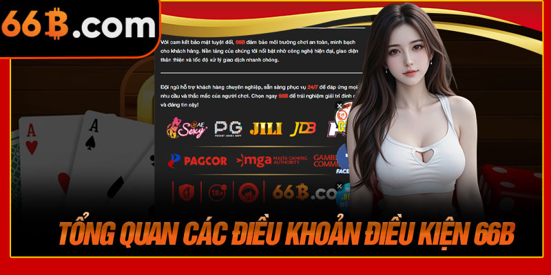 Tổng Quan Các Điều Khoản Điều Kiện 66B